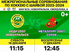 Межрегиональные соревнования по хоккею с шайбой 2023 - 2024 г. в городе Новоуральск