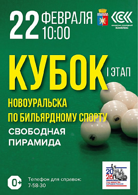 Первый этап Кубка города Новоуральска по бильярдному спорту 
