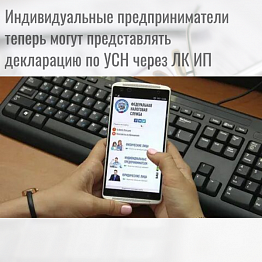 Индивидуальные предприниматели теперь могут представлять декларацию по УСН через ЛК ИП