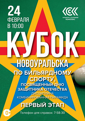 Кубка города Новоуральска по бильярдному спорту, посвященный дню защитника отечества