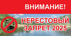 В связи с наступлением весеннего нереста на территории Свердловской области вводятся следующие ограничения на вылов рыбы